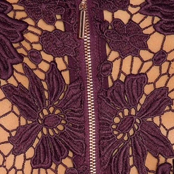 NWT Stylestalker REVOLVE Rosalie Lace Embroidered Bodice Fit & Flare Mini Dress - Picture 2 of 8